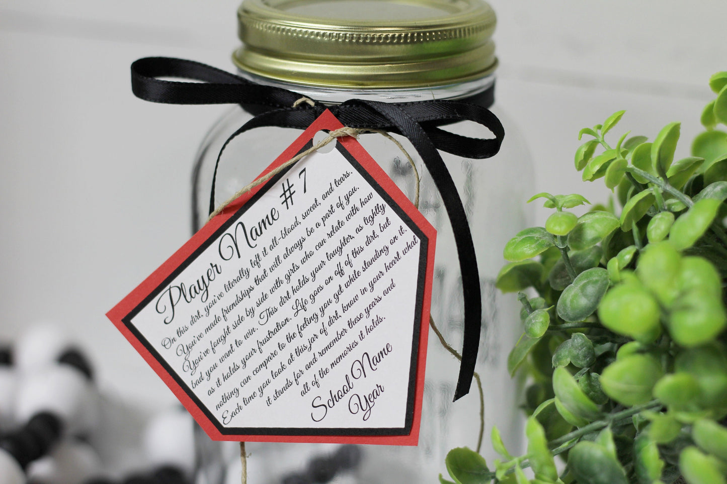 Personalized Jar of Dirt SOFTBALL girls Team Printable Editable Download Custom Template Memory Sentimental Quote Sign Senior Night Gift
