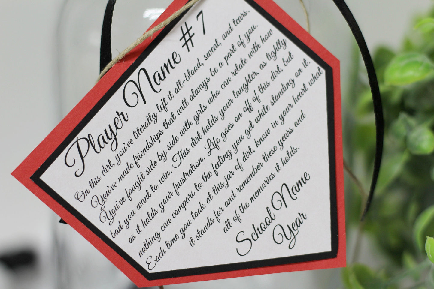 Personalized Jar of Dirt SOFTBALL girls Team Printable Editable Download Custom Template Memory Sentimental Quote Sign Senior Night Gift