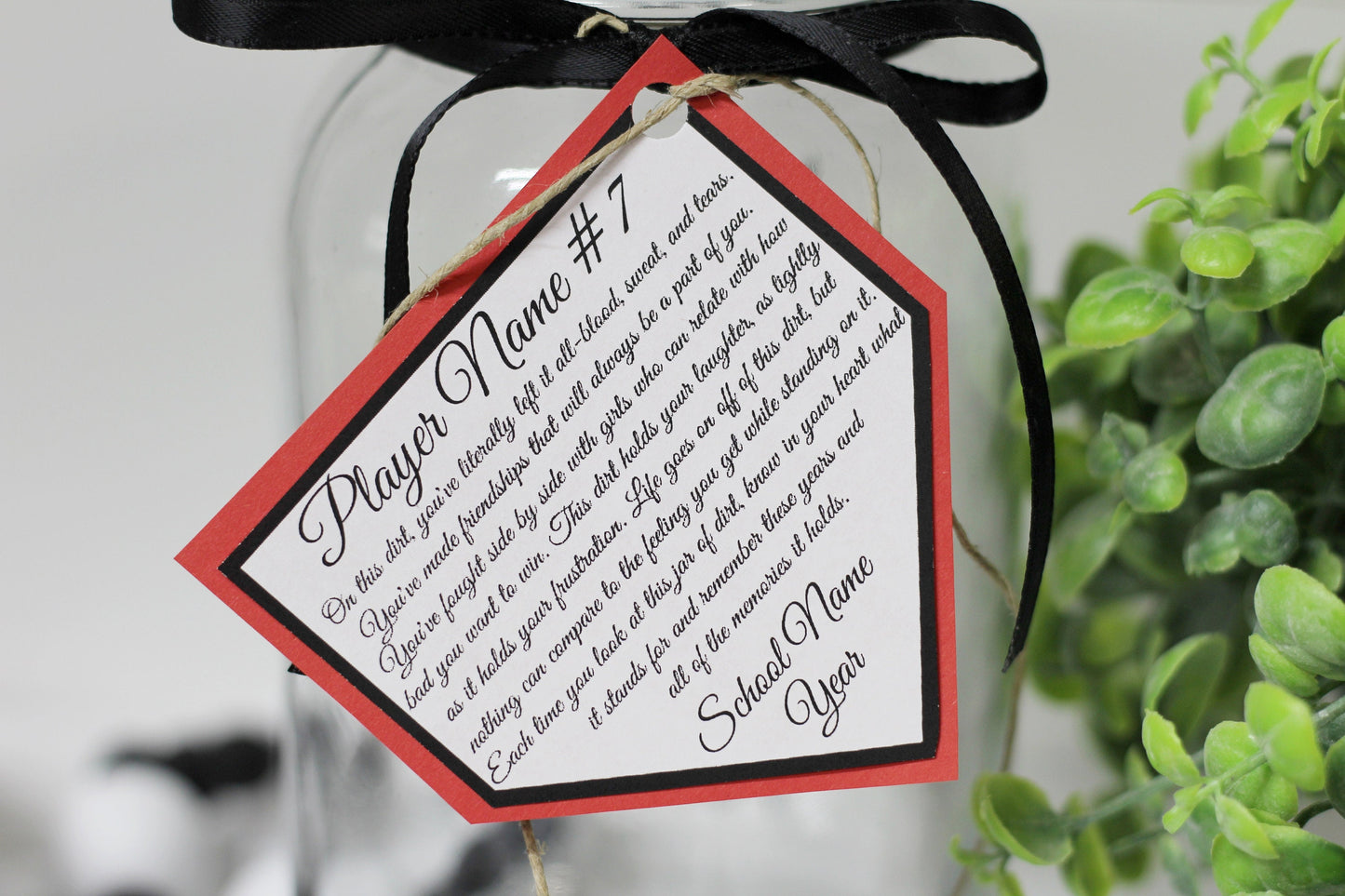 Personalized Jar of Dirt SOFTBALL girls Team Printable Editable Download Custom Template Memory Sentimental Quote Sign Senior Night Gift